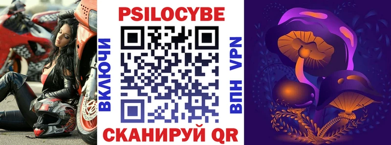 Псилоцибиновые грибы Psilocybe  Спасск-Дальний 
