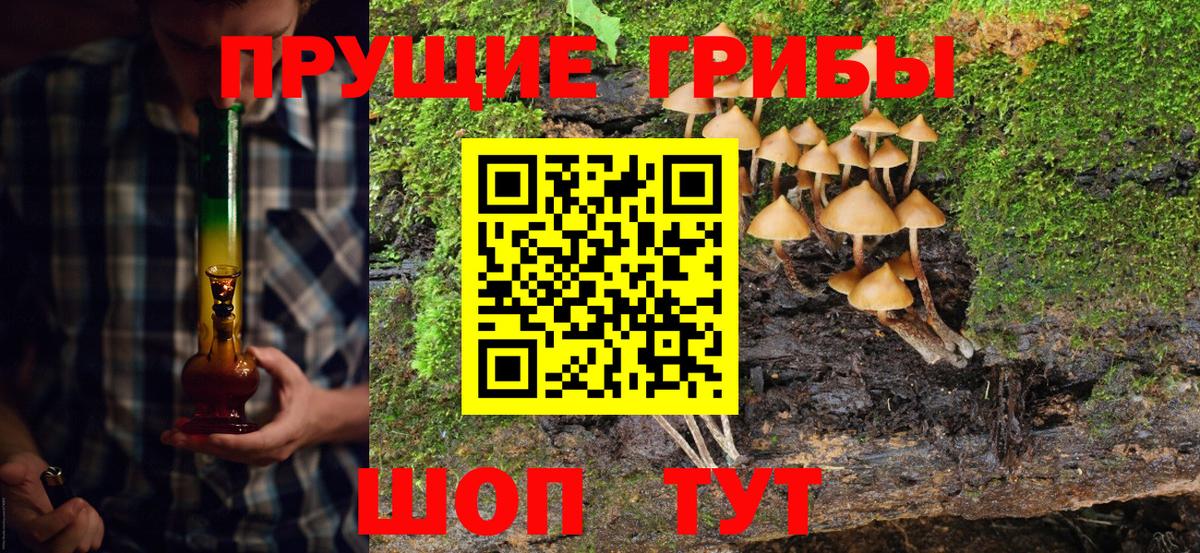Псилоцибиновые грибы Psilocybine cubensis Спасск-Дальний