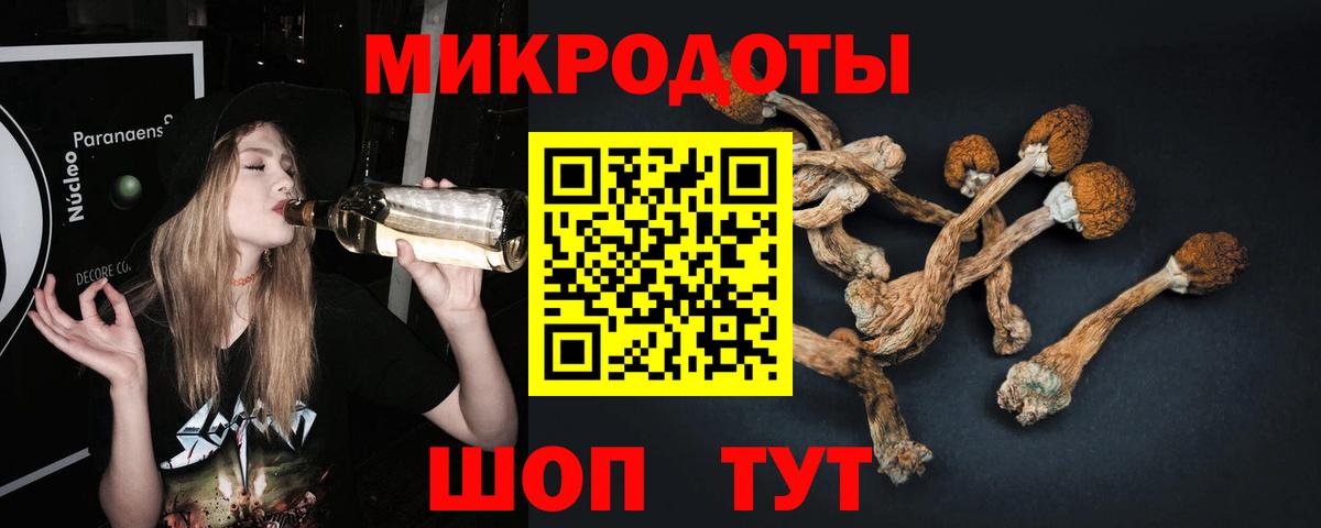 Спасск-Дальний  Псилоцибиновые грибы Psilocybine cubensis  Вход с VPN  Галлюциногенные грибы Magic Shrooms 